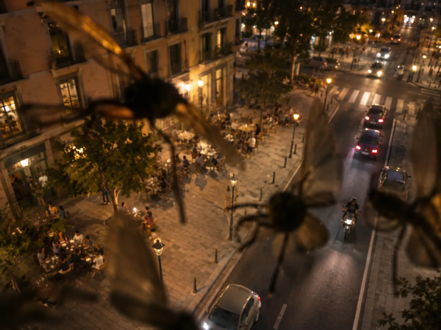 Se posan donde da la luz infrarroja y tapan media imagen. Vuelven cada noche, en verano todas.