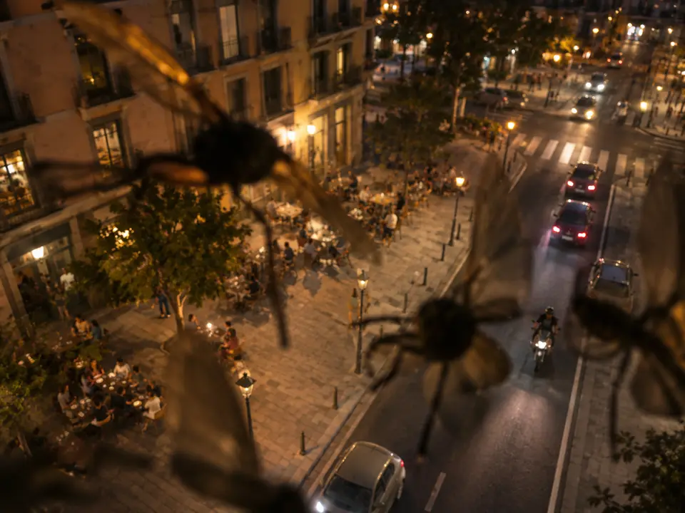Ein Platz bei Nacht, gesehen vom Mast an der Ecke. Unten volle Terrassen, Menschen an den Tischen, beleuchtete Schaufenster und rechts die Fahrbahn mit Autos, einem Motorrad und dem Zebrastreifen. Und davor, an der Kuppel klebend, vier oder fünf große Insekten. Sie sind so nah am Glas, dass sie nie scharf werden: Schatten mit offenen Flügeln, die den linken Rand, die untere Bildmitte und die rechte Ecke belegen. Die halbe Terrasse liegt dahinter. IRIS sieht Körper, die an der Kuppel haften, immer an derselben Stelle, und die sich nicht mit der Szene bewegen. Welches Insekt es ist und ob es morgen noch da ist, weiß IRIS nicht.